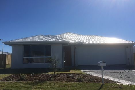 Property photo of 11 Ferngrove Street Pimpama QLD 4209