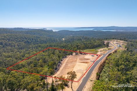 118 Silver Top Cres, Nullica, NSW 2551