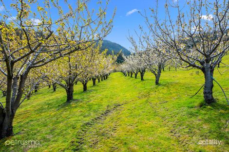 Property photo of 141 Ayres Road Ranelagh TAS 7109