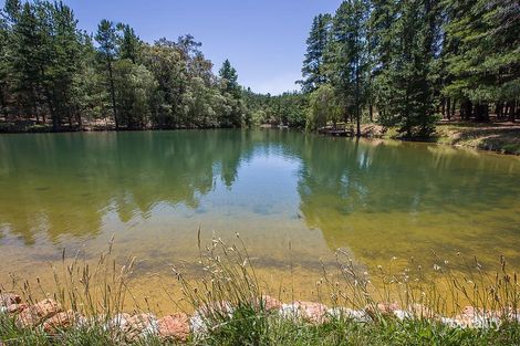 136 Preston Rd, Thomson Brook, WA 6239