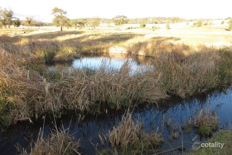 Property photo of 63 Comleroy Place Daruka NSW 2340