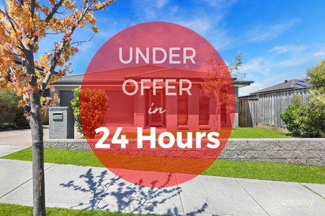 Property photo of 4 Kaputar Street Minto NSW 2566