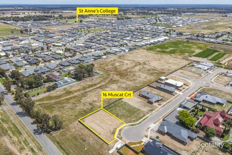 16 Muscat Ct, Kialla, VIC 3631