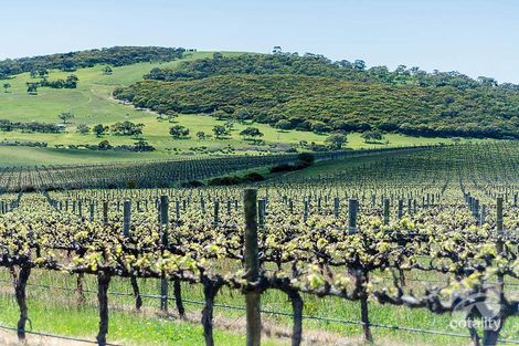 Property photo of 1315 Bull Creek Road Ashbourne SA 5157