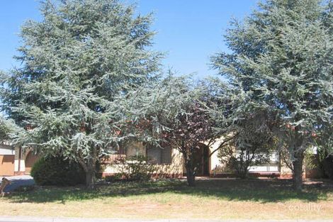 77 Heysen Ave, Hope Valley, SA 5090