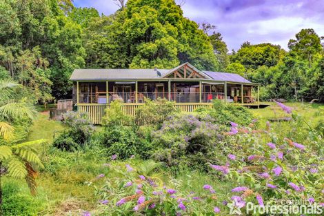 39-41 Benowa St, Tamborine Mountain, QLD 4272