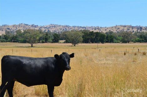 Property photo of 233 Nimbo Road Brungle NSW 2722