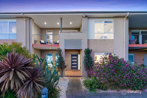Property photo of 17 Dunk Crescent Bonbeach VIC 3196