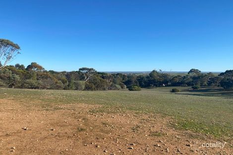 Property photo of 110 Mitchell Avenue Riverglades SA 5253