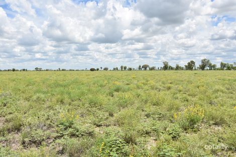 6400 Barcaldine Aramac Rd, Barcaldine, QLD 4725