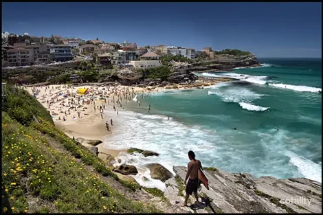 Property photo of 112 Hewlett Street Bronte NSW 2024