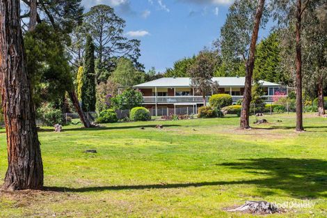 Property photo of 175 Clegg Road Mount Evelyn VIC 3796