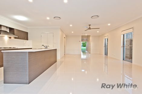 Property photo of 42 Somers Street Nudgee QLD 4014