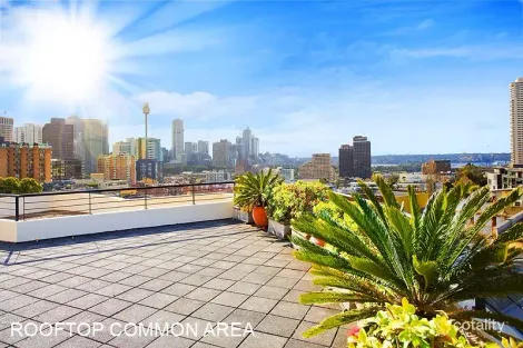 Property photo of 200 Campbell Street Darlinghurst NSW 2010