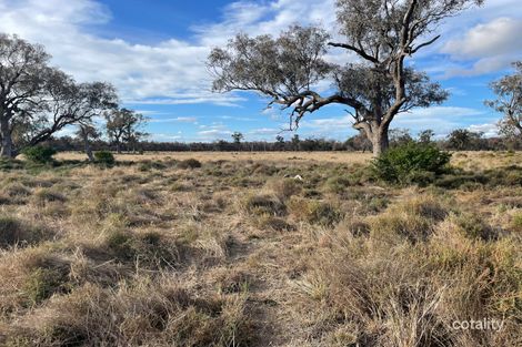 2275 Nowley Rd, Nowley, NSW 2386