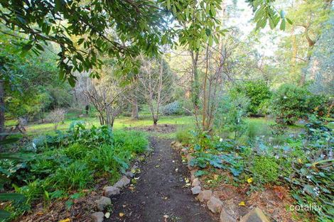 Property photo of 18 Jean Street Upper Ferntree Gully VIC 3156