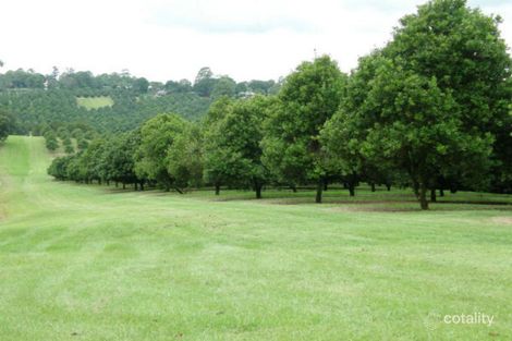 49 Munro Rd, Dunoon, NSW 2480