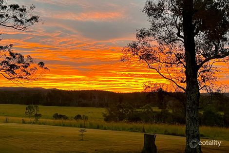 2392 Old Tenterfield Rd, Busbys Flat, NSW 2469