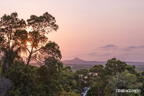 Property photo of 25 Currawong Street Noosa Heads QLD 4567