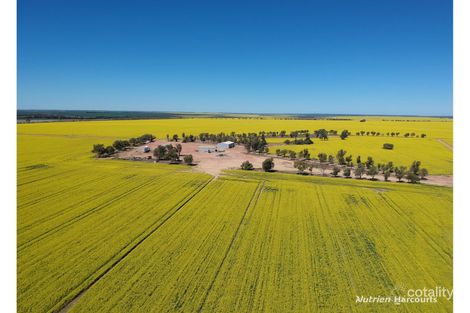 235 Telegraph Rd, West Binnu, WA 6532