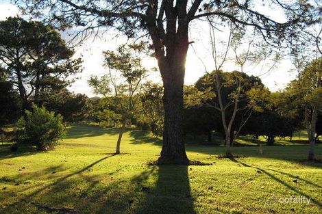 45 Jenyns Rd, Tamborine Mountain, QLD 4272