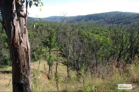 Property photo of 215 Martin Road Nymboida NSW 2460