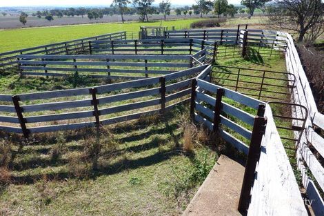 Property photo of 1 Laheys Creek Road Dunedoo NSW 2844