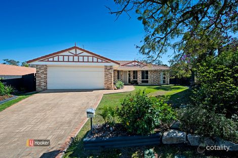Property photo of 11 Cotter Court Murrumba Downs QLD 4503