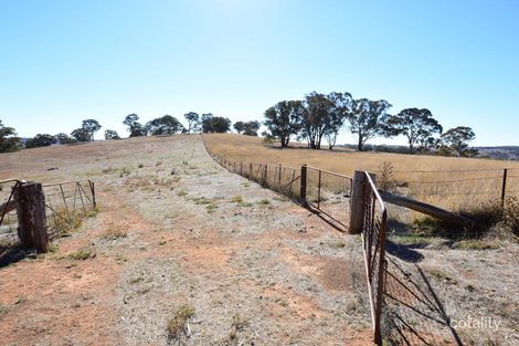 Property photo of 534 Byng Road Byng NSW 2800