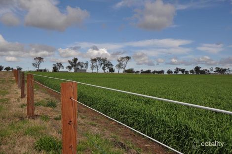 354 Westbrook Wyreema Rd, Wyreema, QLD 4352