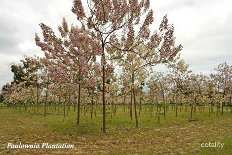 Property photo of 2696 Old Coast Road Herron WA 6211