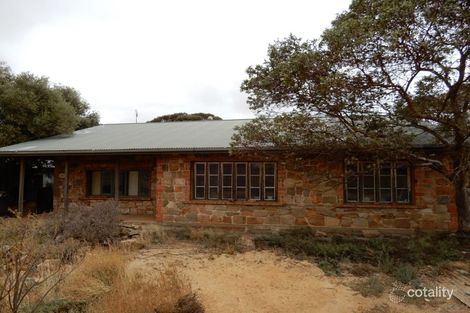 Property photo of 11 West Terrace Yatina SA 5422