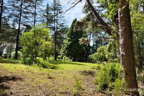 Property photo of 79 Kangaroo Valley Road Berry NSW 2535
