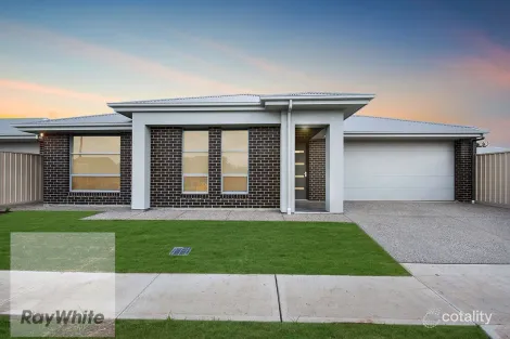 45 Seaton Tce, Seaton, SA 5023