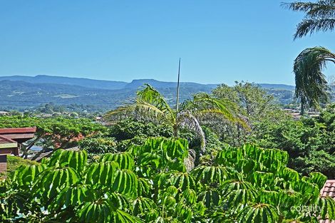 Property photo of 33 Terranora Road Banora Point NSW 2486