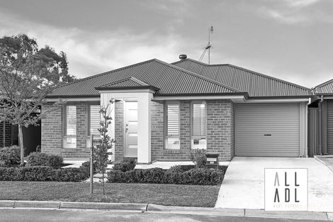 Property photo of 16 Osmond Terrace Gilles Plains SA 5086