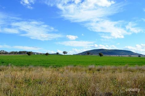 Property photo of Beeson Road Milroy NSW 2380