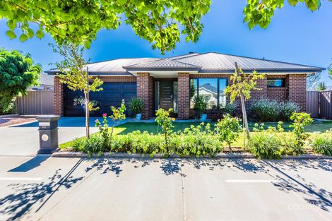 Property photo of 44 Wilkinson Drive Echuca VIC 3564