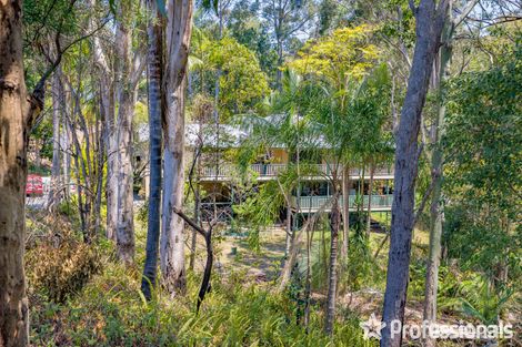 Property photo of 238-242 Guanaba Road Tamborine Mountain QLD 4272