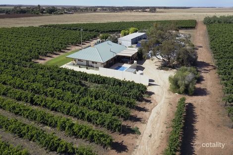 Property photo of 3012 Kingston Road Pyap SA 5333