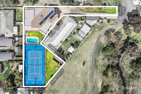 Property photo of 16 Dennys Court Grovedale VIC 3216