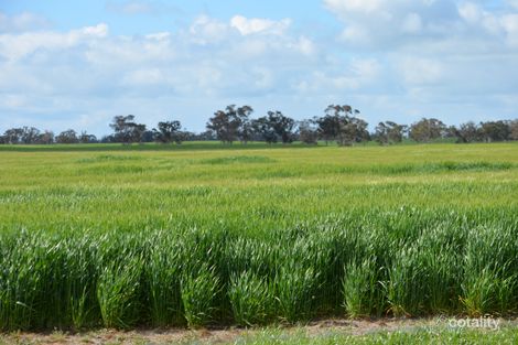 343 Cooper Rd, Bangham, SA 5268