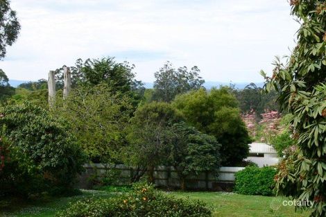 Property photo of 9 Halcyon Avenue The Patch VIC 3792