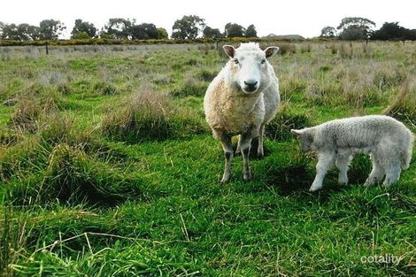 Property photo of 21 Beal Street Birregurra VIC 3242