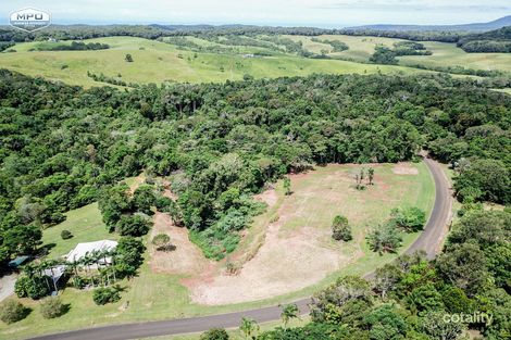 Property photo of 135 Salisbury Drive Julatten QLD 4871