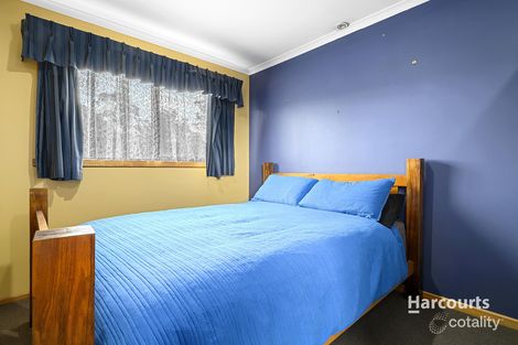 978 Ridgley Hwy, Ridgley, TAS 7321