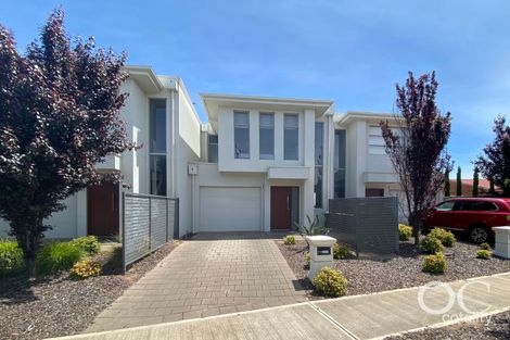 71 Nilpena Ave, Morphettville, SA 5043