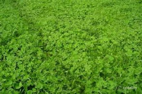 Property photo of 1273 Gap Road Frances SA 5262