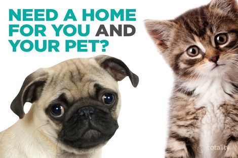 Property photo of 3/78 Chandos Street Ashfield NSW 2131