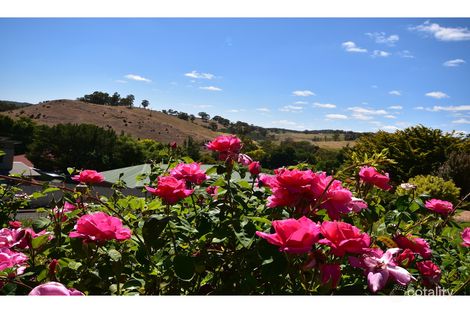 Property photo of 6 Vista Court Gumeracha SA 5233